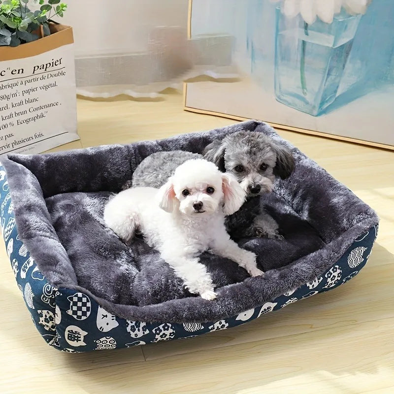 Aura Base: Your Trusted Partner for Premium Pet Supplies – Quality, Reliability, and Happy Pets!
