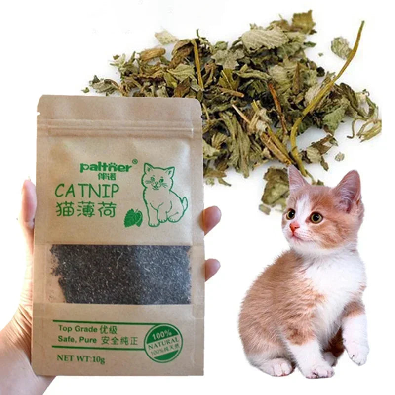10g Menthol Flavor Funny Cat Supplies Keep Pet Health Cat Toy
