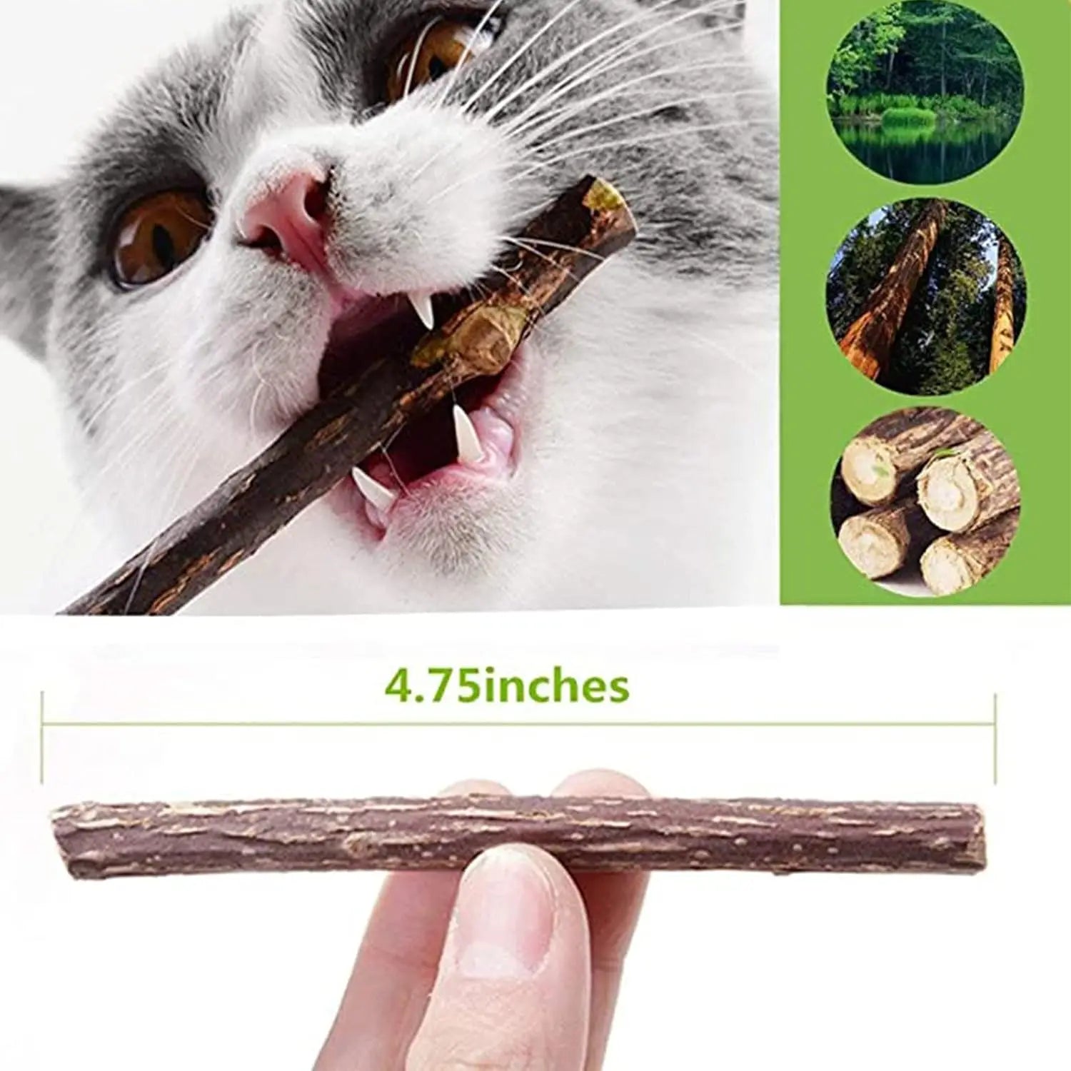 Natural Silvervine Sticks for Cats Catnip Chew Toys Teeth Molar Sticks Dental Cleaning Chewing Gifts Kitten Cat Toy Catnip
