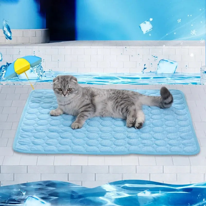 Aura Base: Your Trusted Partner for Premium Pet Supplies – Quality, Reliability, and Happy Pets!