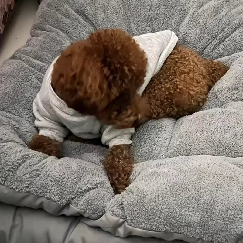 AURABASE - Extra Large Plush Dog Bed, Super Soft Pet Sofa and Crate Mat (120*60cm).