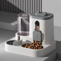 Aura Base: Your Trusted Partner for Premium Pet Supplies – Quality, Reliability, and Happy Pets!