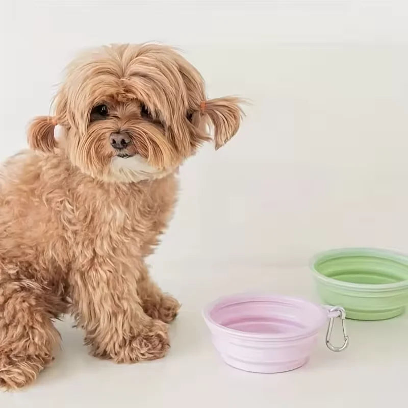 Folding Bowl for Cat/dog  Food/Water Large