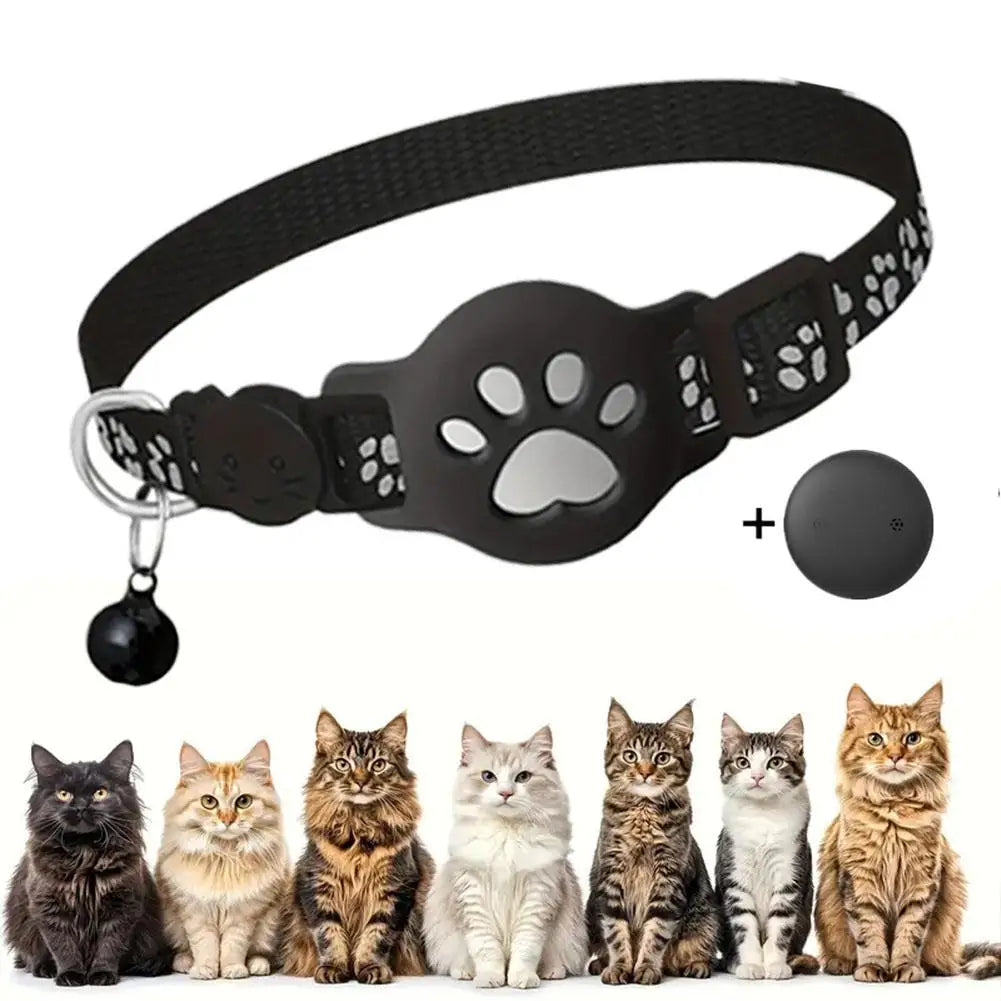 Aura Base: Your Trusted Partner for Premium Pet Supplies – Quality, Reliability, and Happy Pets!
