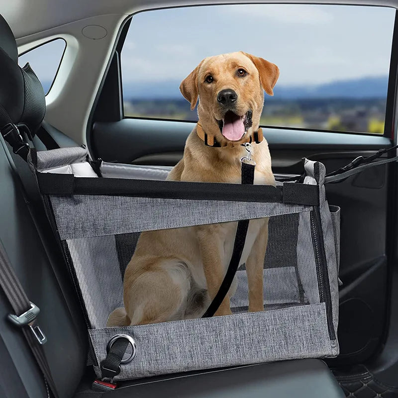 Aura Base: Your Trusted Partner for Premium Pet Supplies – Quality, Reliability, and Happy Pets!