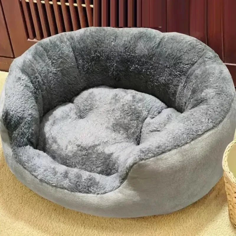 Aura Base: Your Trusted Partner for Premium Pet Supplies – Quality, Reliability, and Happy Pets!