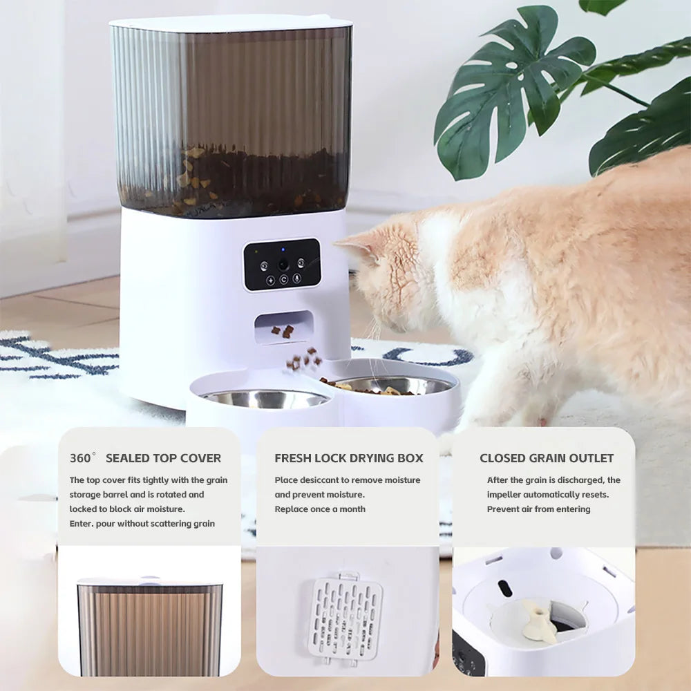 Aura Base: Your Trusted Partner for Premium Pet Supplies – Quality, Reliability, and Happy Pets!