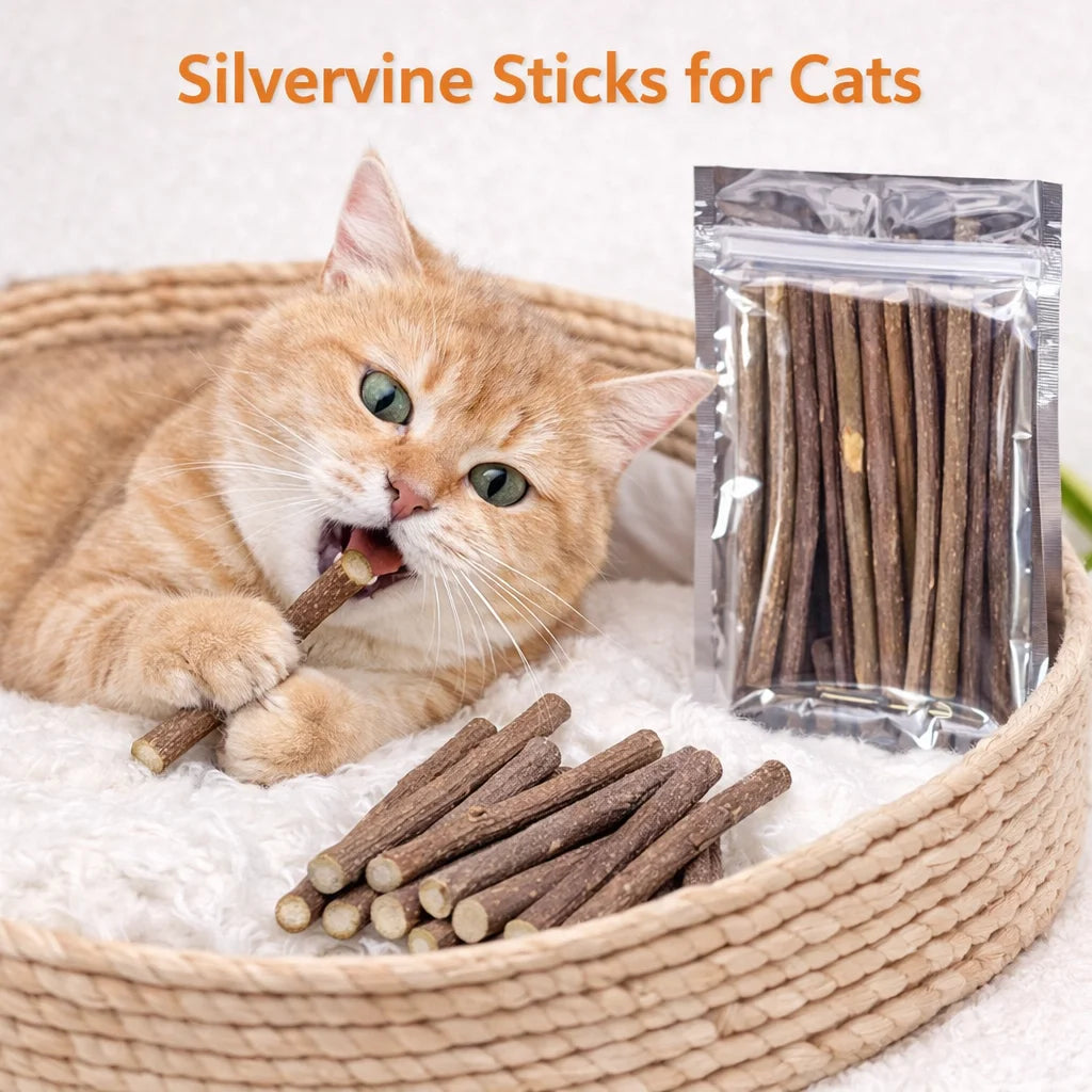 Natural Silvervine Sticks for Cats Catnip Chew Toys Teeth Molar Sticks Dental Cleaning Chewing Gifts Kitten Cat Toy Catnip