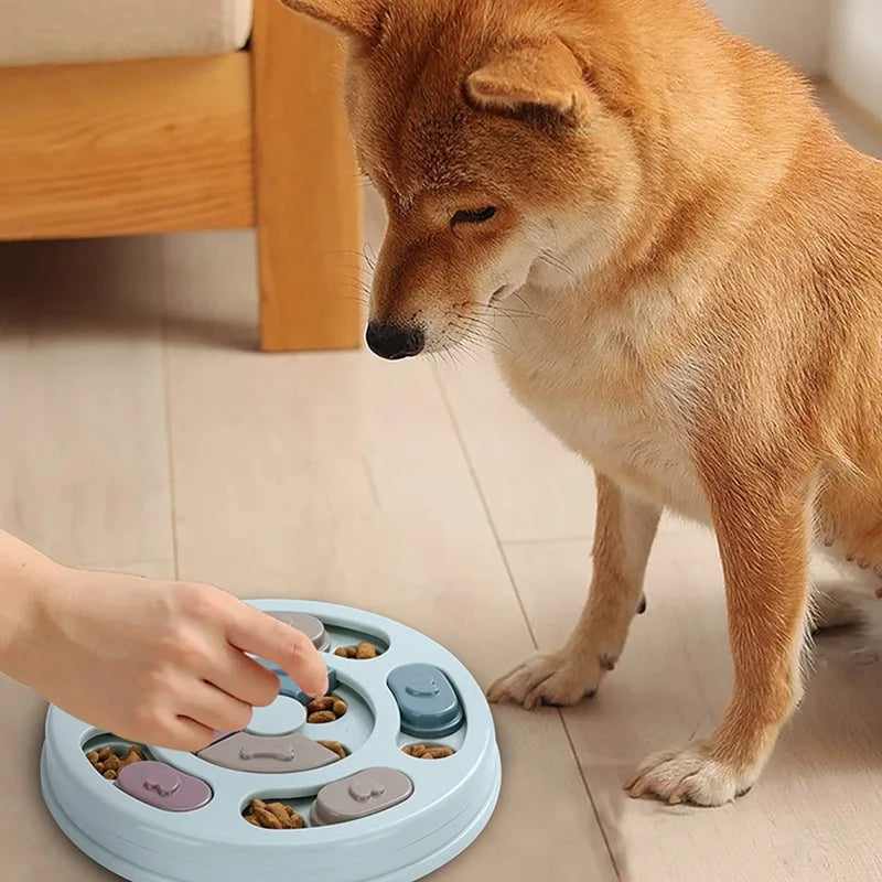 Aura Base: Your Trusted Partner for Premium Pet Supplies – Quality, Reliability, and Happy Pets!