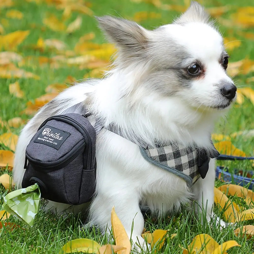 Aura Base: Your Trusted Partner for Premium Pet Supplies – Quality, Reliability, and Happy Pets!