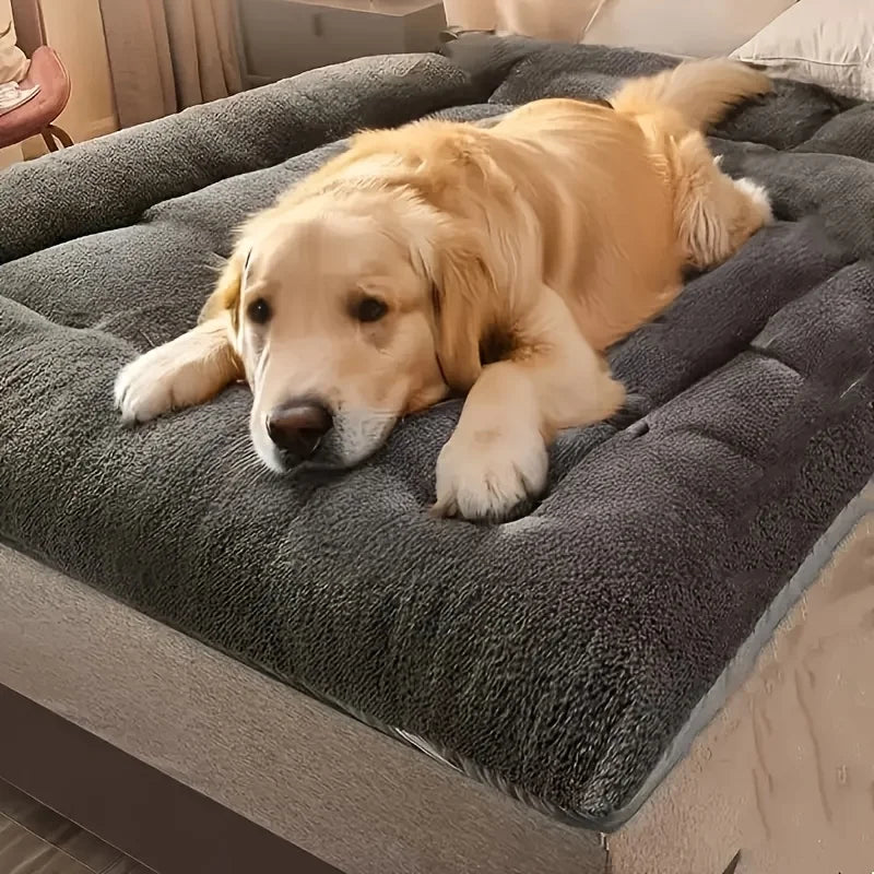 AURABASE - Extra Large Plush Dog Bed, Thickened Super Soft Pet Sofa Mat and Crate Mat"।