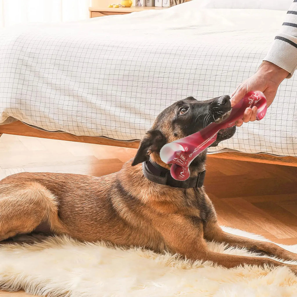 Dog Bones, Bacon Flavor Tough Dog Toys Bone