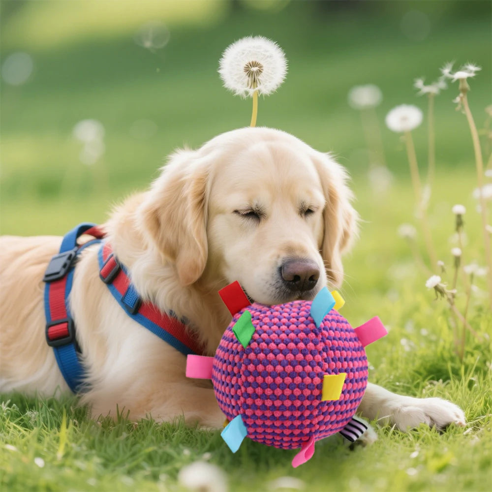 Interactive Ball Dog Toy Suitable for  Chewing Training, Stress Relief, Bite Sound Resistance, Plush tug-of-war Toy three color