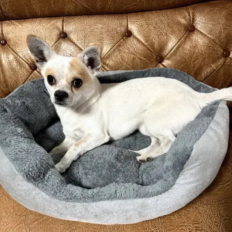 AURABASE - Very Soft Warm Dog Bed, Cozy Pet Basket for Medium and Large Dogs.