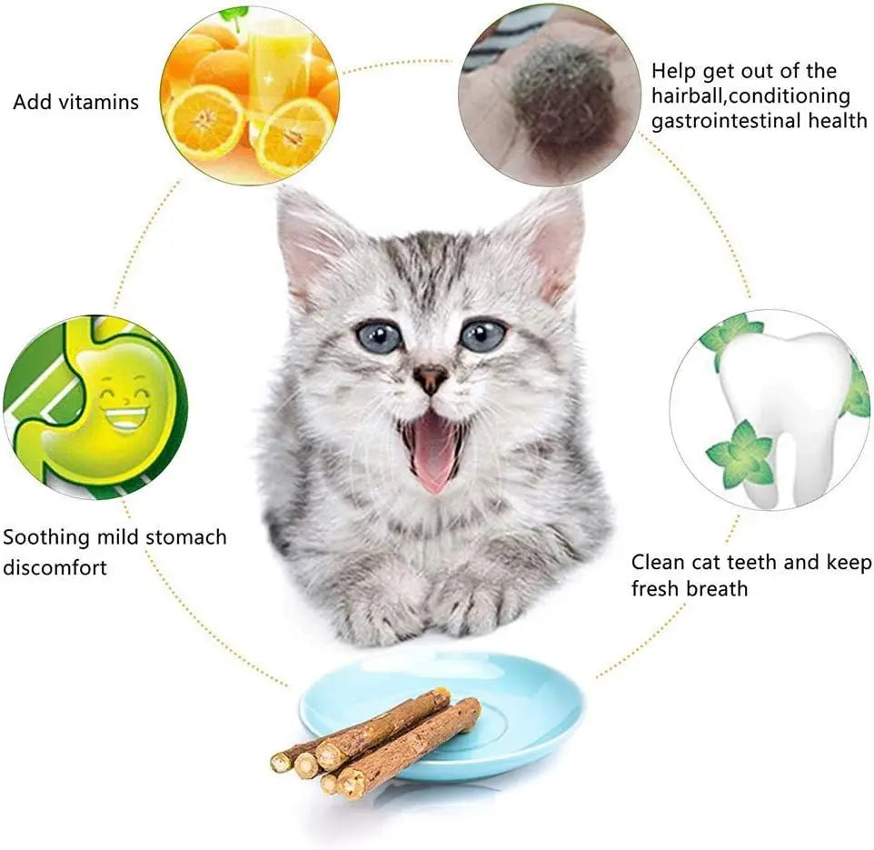 Natural Silvervine Sticks for Cats Catnip Chew Toys Teeth Molar Sticks Dental Cleaning Chewing Gifts Kitten Cat Toy Catnip
