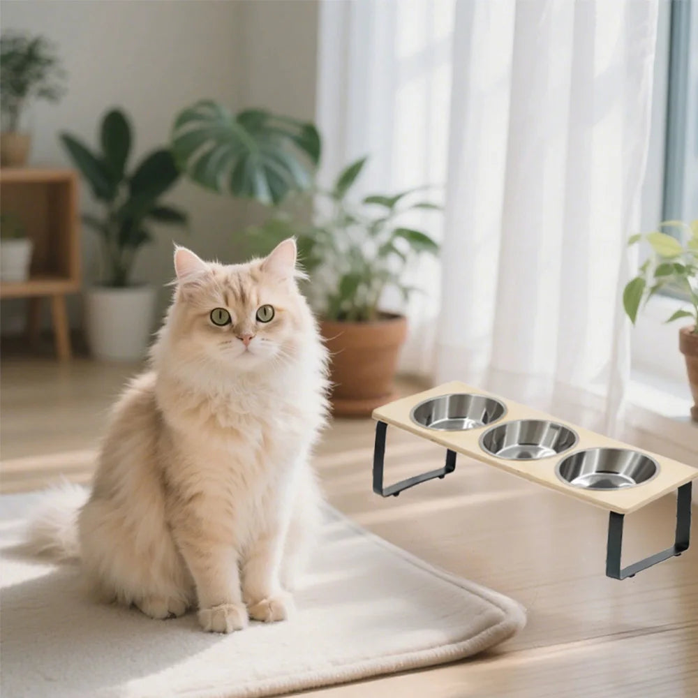 Elevated Cat Bowls with 3 Stainless Steel Bowls Cat Food Bowl for Small Cats