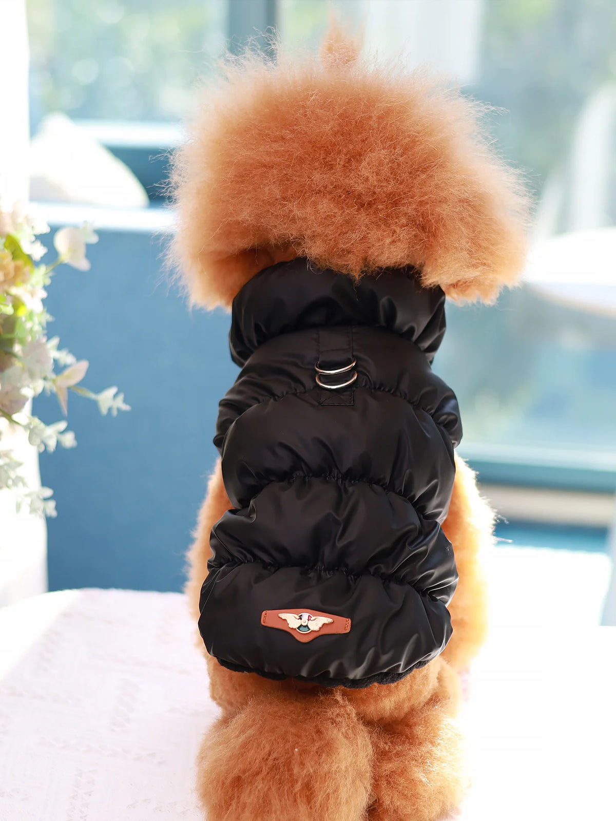 Dog Jacket For Autumn/Winter, Pet Coat, 3-Layer  Small To Medium Dogs.