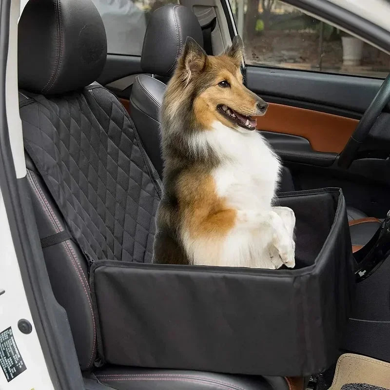 Aura Base: Your Trusted Partner for Premium Pet Supplies – Quality, Reliability, and Happy Pets!