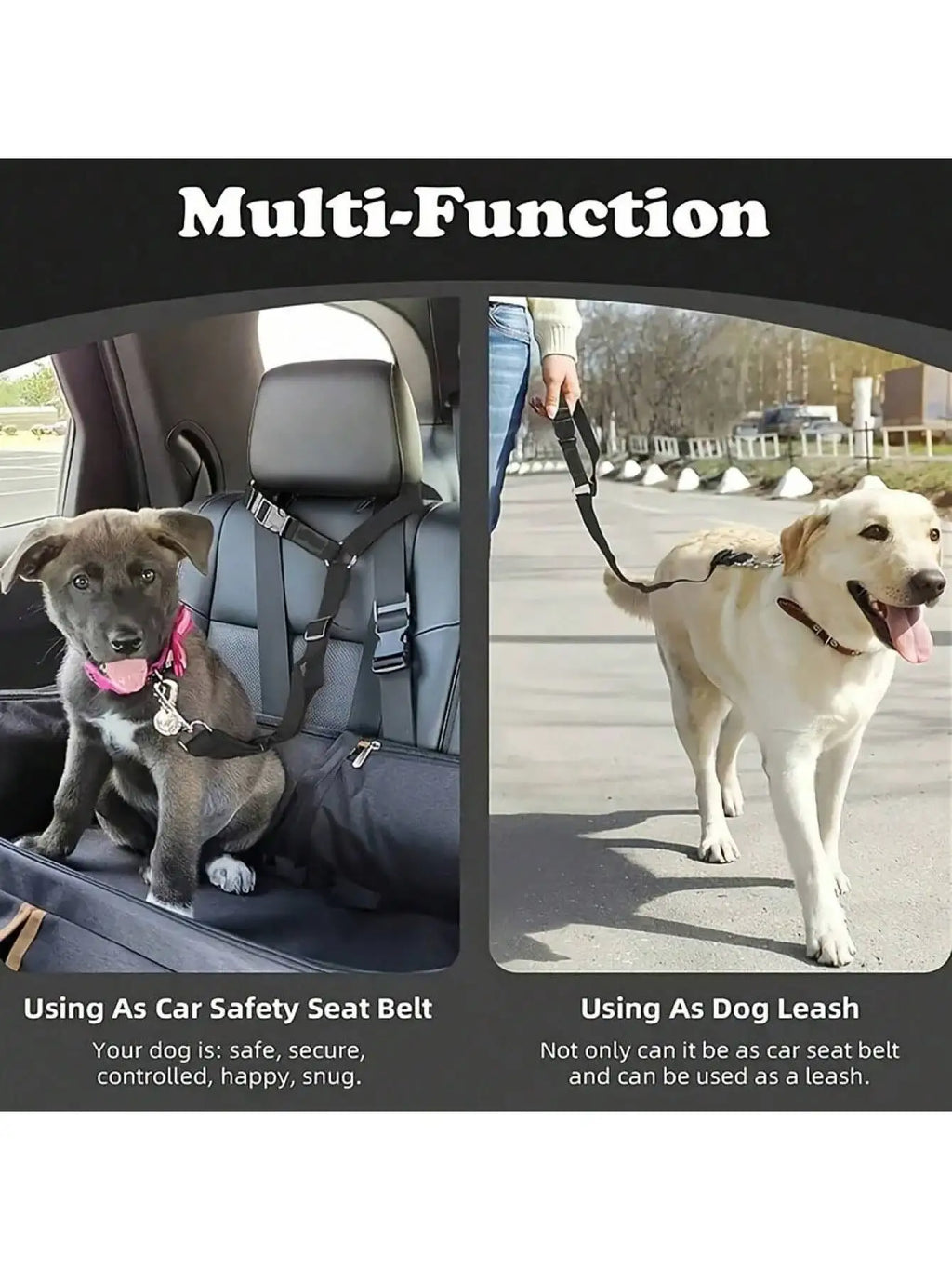 Aura Base: Your Trusted Partner for Premium Pet Supplies – Quality, Reliability, and Happy Pets!