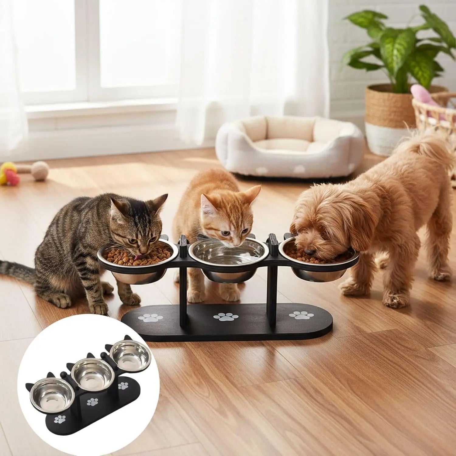 Elevated Cat Food Bowl with Black