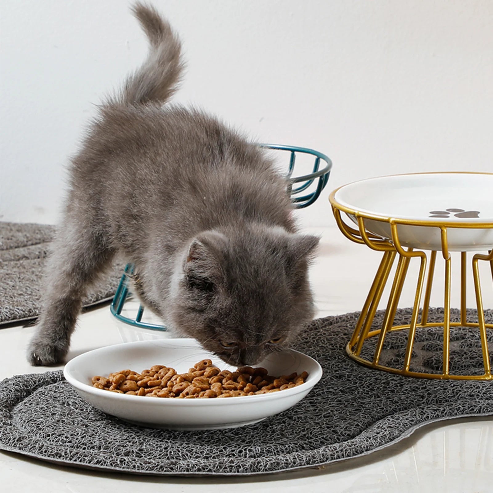 Ceramic Cat Food Bowls Elevated Wide Safe Slow Eating Pet Water Bowls For Kitten Puppy Non-slip Wide Bowls For Indoor Cats Dogs