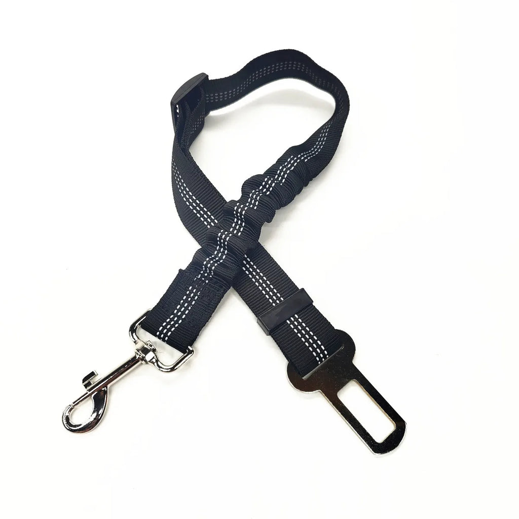 Aura Base: Your Trusted Partner for Premium Pet Supplies – Quality, Reliability, and Happy Pets!