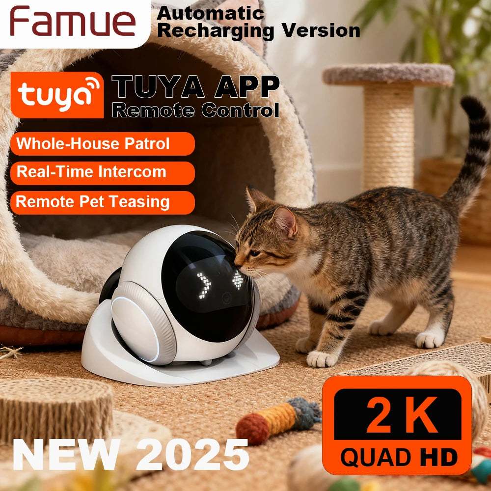 Aura Base: Your Trusted Partner for Premium Pet Supplies – Quality, Reliability, and Happy Pets!