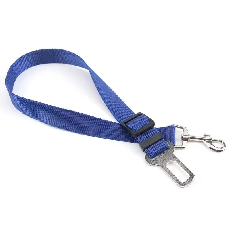 Aura Base: Your Trusted Partner for Premium Pet Supplies – Quality, Reliability, and Happy Pets!