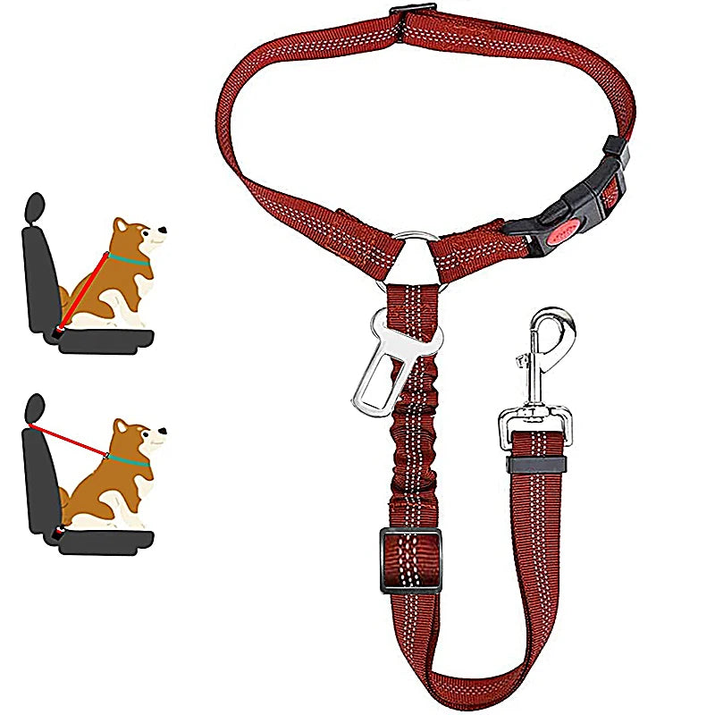 Aura Base: Your Trusted Partner for Premium Pet Supplies – Quality, Reliability, and Happy Pets!