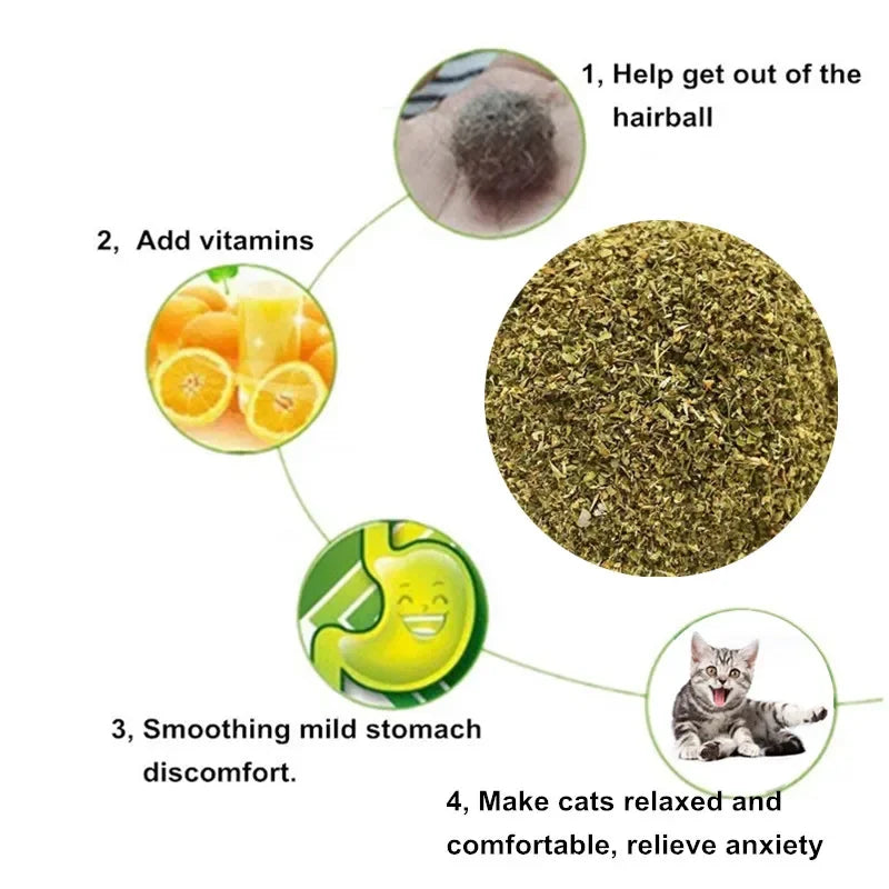 10g Menthol Flavor Funny Cat Supplies Keep Pet Health Cat Toy