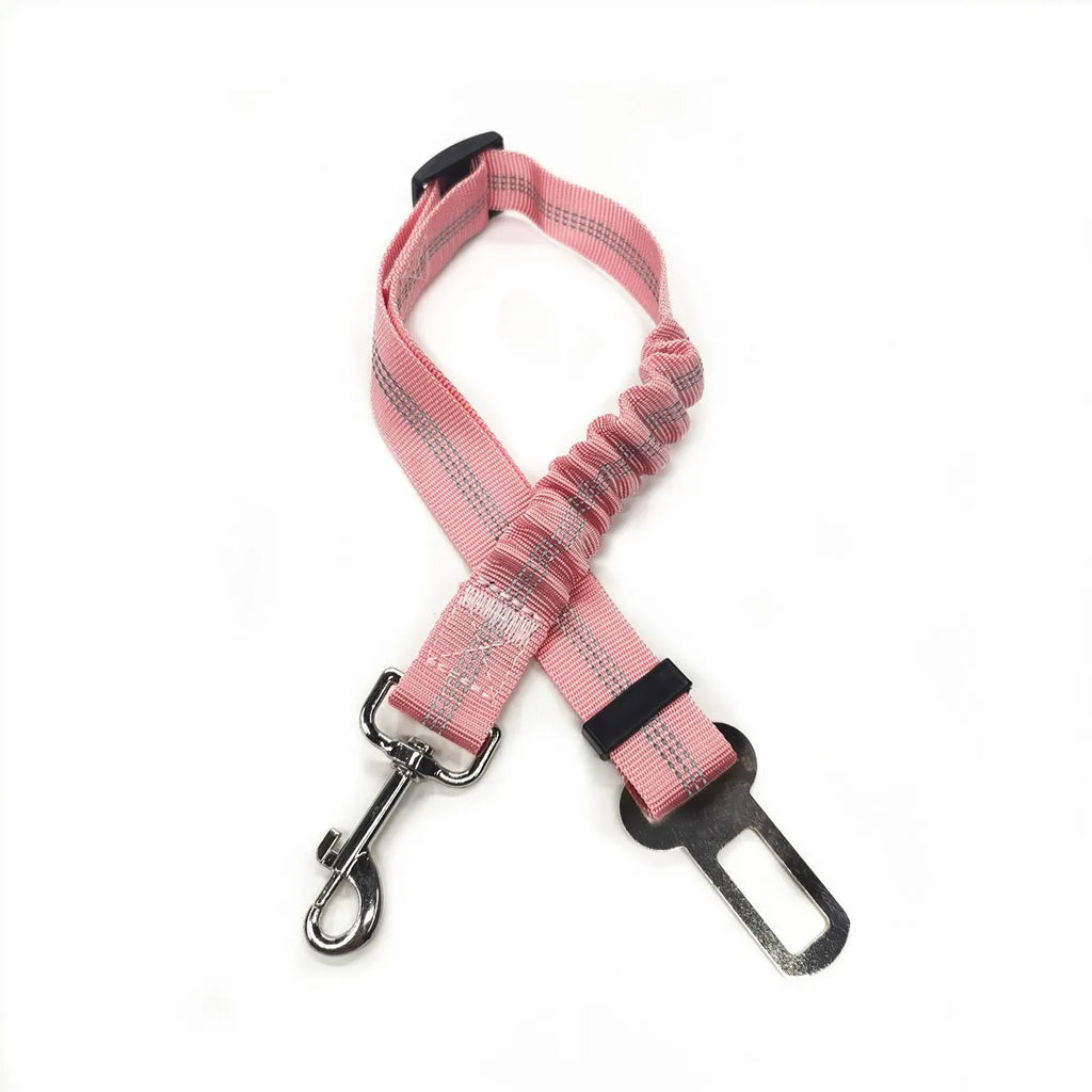 Aura Base: Your Trusted Partner for Premium Pet Supplies – Quality, Reliability, and Happy Pets!