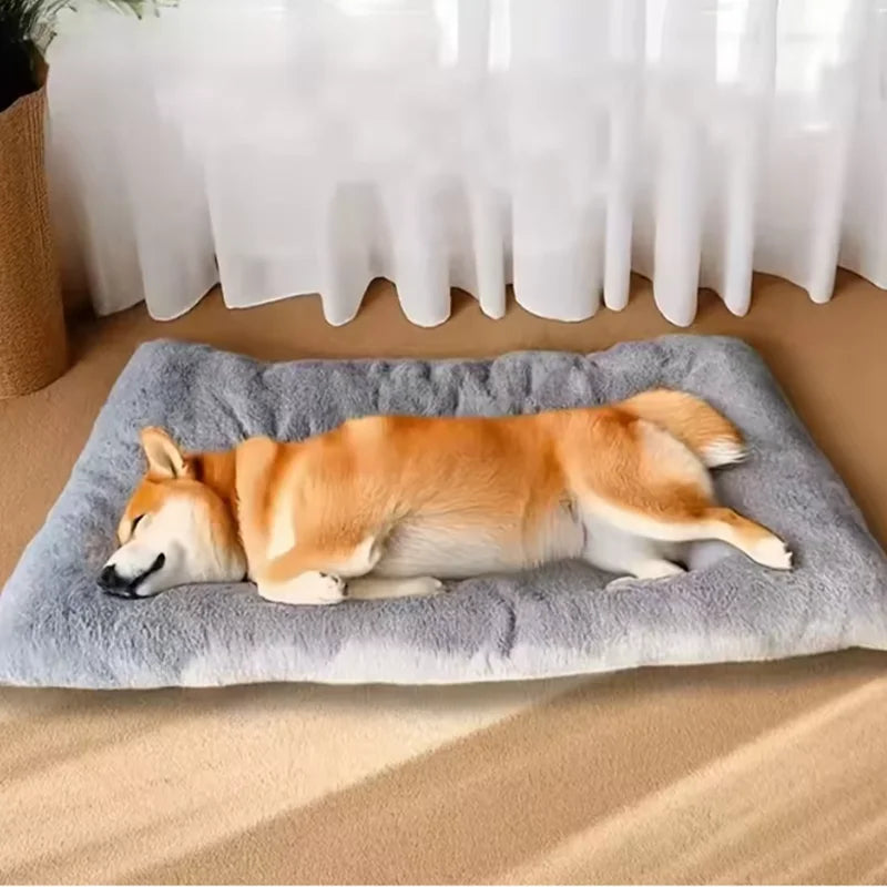 AURABASE - Extra Large Plush Dog Bed, Super Soft Pet Sofa and Crate Mat (120*60cm).