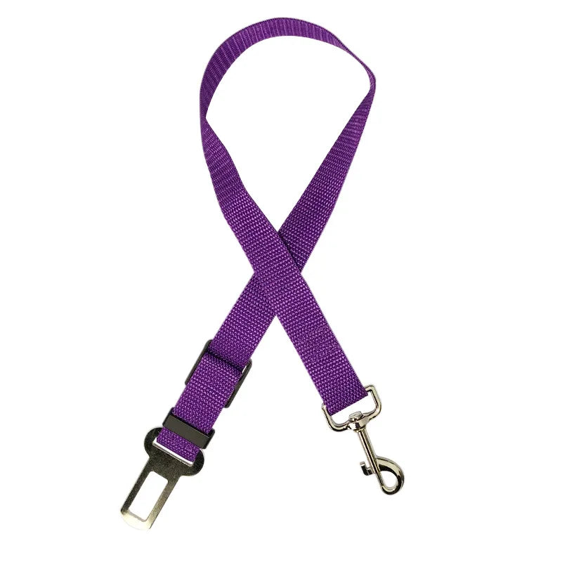 Aura Base: Your Trusted Partner for Premium Pet Supplies – Quality, Reliability, and Happy Pets!