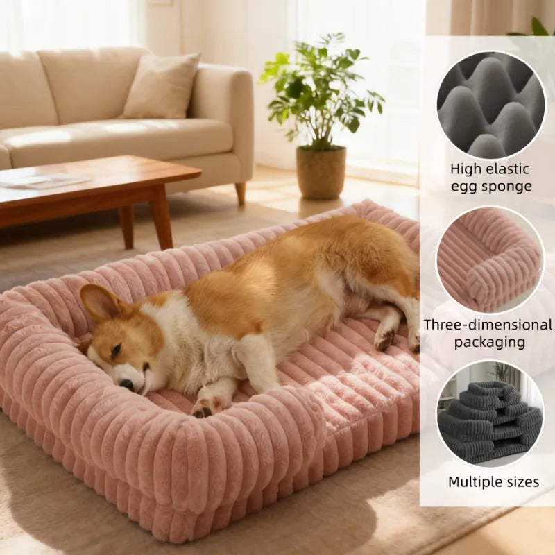 Aura Base: Your Trusted Partner for Premium Pet Supplies – Quality, Reliability, and Happy Pets!