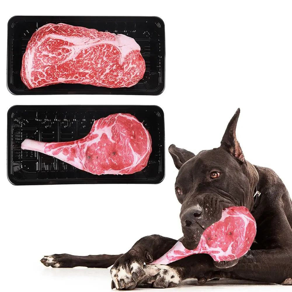 Bone Dog Toys Dog Chew Puppy Training Toy Soft