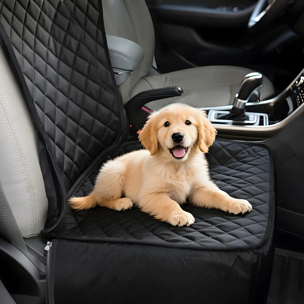 Aura Base: Your Trusted Partner for Premium Pet Supplies – Quality, Reliability, and Happy Pets!