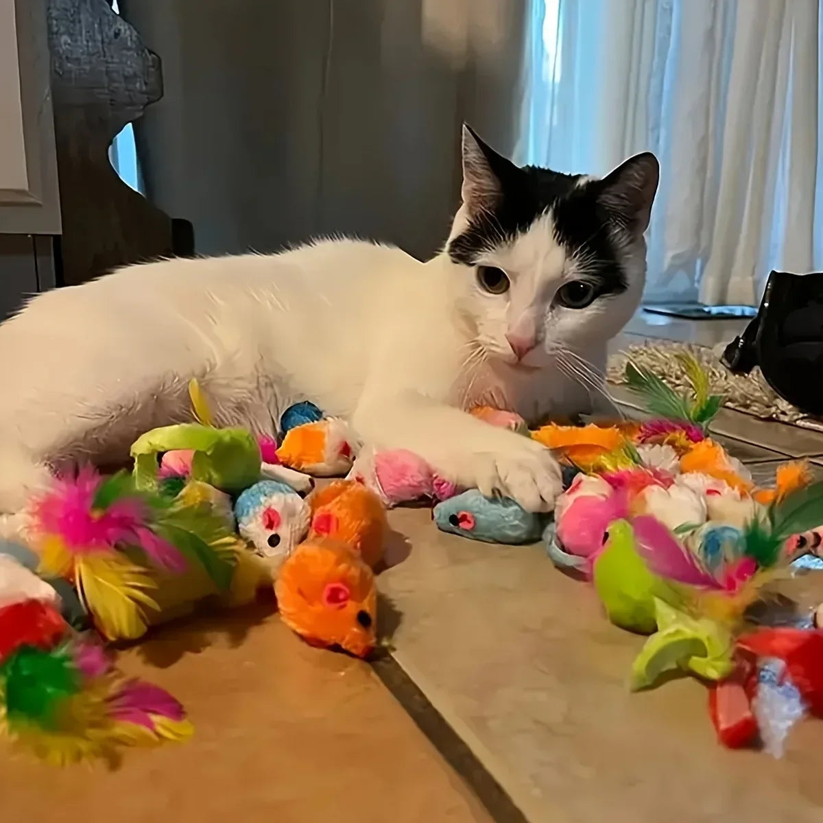 56pcs/28pcs/14pcs Cat Toys Mixed Cats To Play
