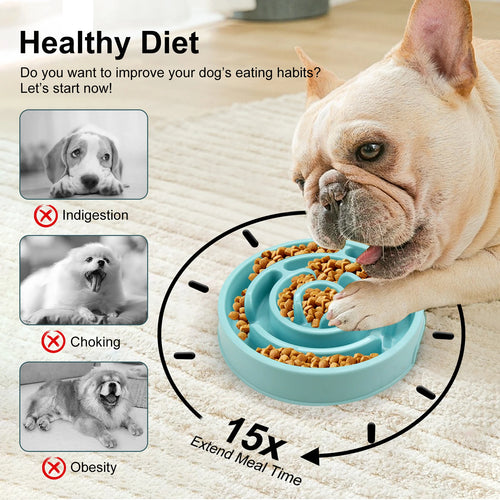 Anti-Gulping Slow Feed Pet Bowl