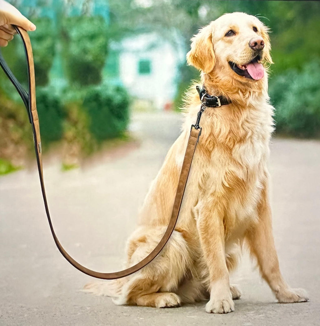 Dog Leash Harness Leather Lead Pet Dog Puppy Walking Running Leashes Training Rope Belt for Small Medium Large Dogs Pet Supplies