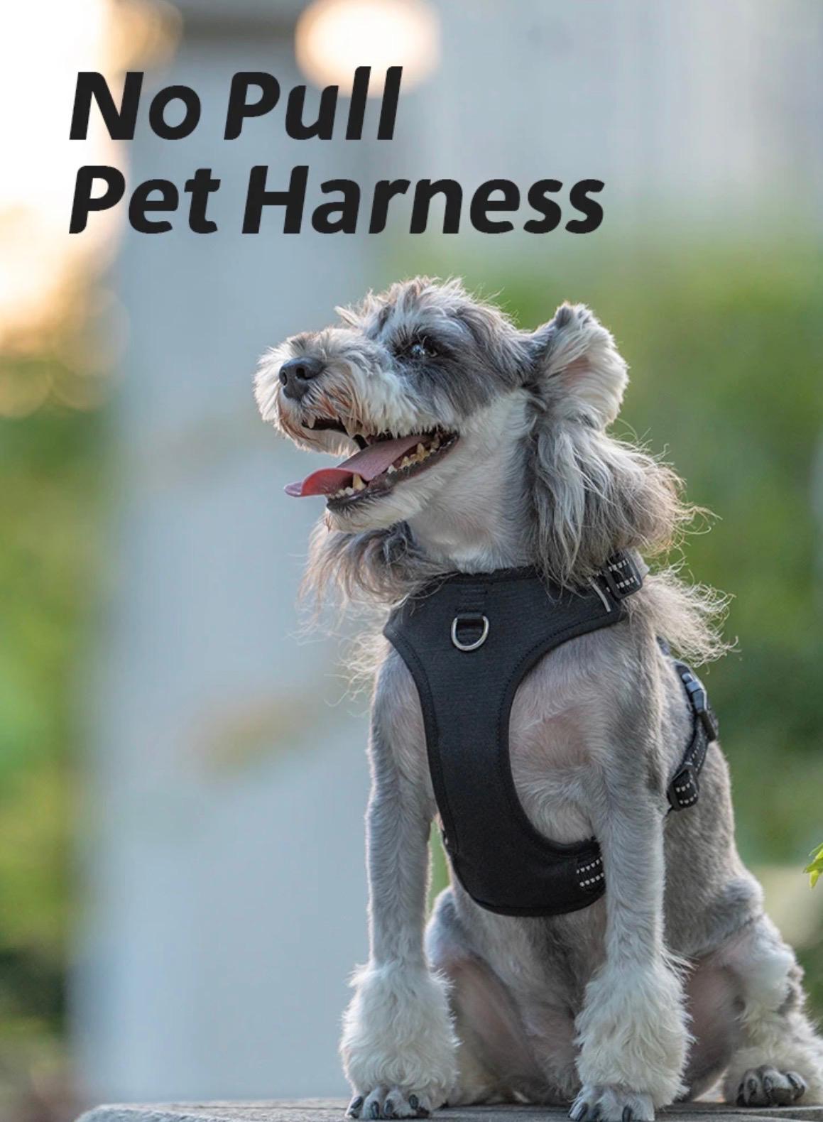 Dog Harness No Pull Reflective Pet Dog Chest Harness Adjustable for Small Medium Large Dogs Outdoor Walking
