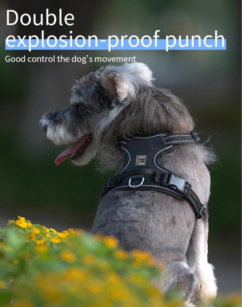 Dog Harness No Pull Reflective Pet Dog Chest Harness Adjustable for Small Medium Large Dogs Outdoor Walking