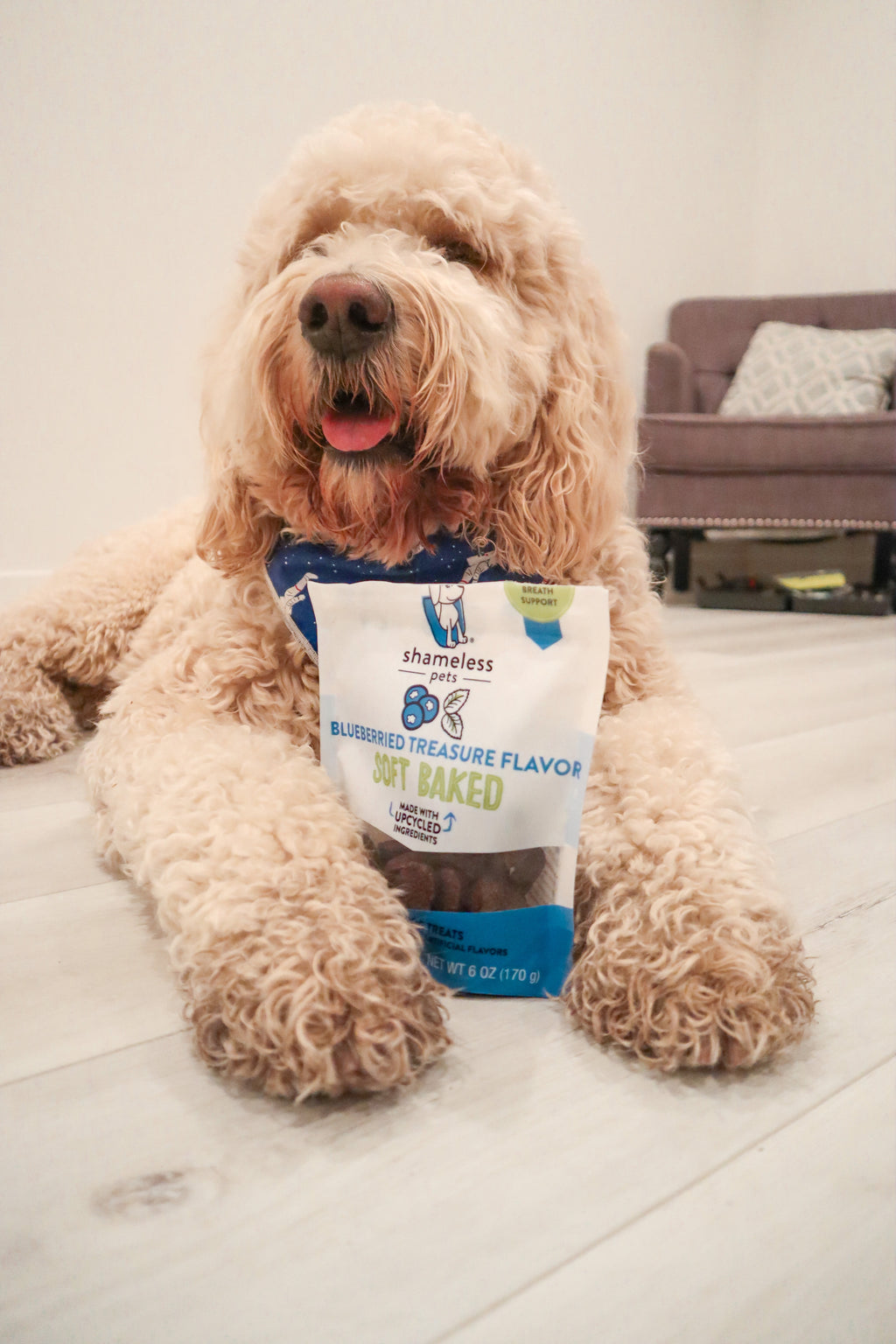 , Blueberry Flavor, Soft Baked Dry Biscuit Treat for Dogs, Fresh Breath, 6 Oz. Pouch