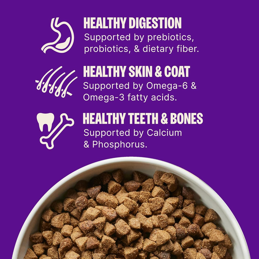 Wellness Complete Health Puppy Dry Dog Food, Wholesome Grain Kibble, Natural, Chicken, Oatmeal, and Salmon Recipe, 15 Lb Bag
