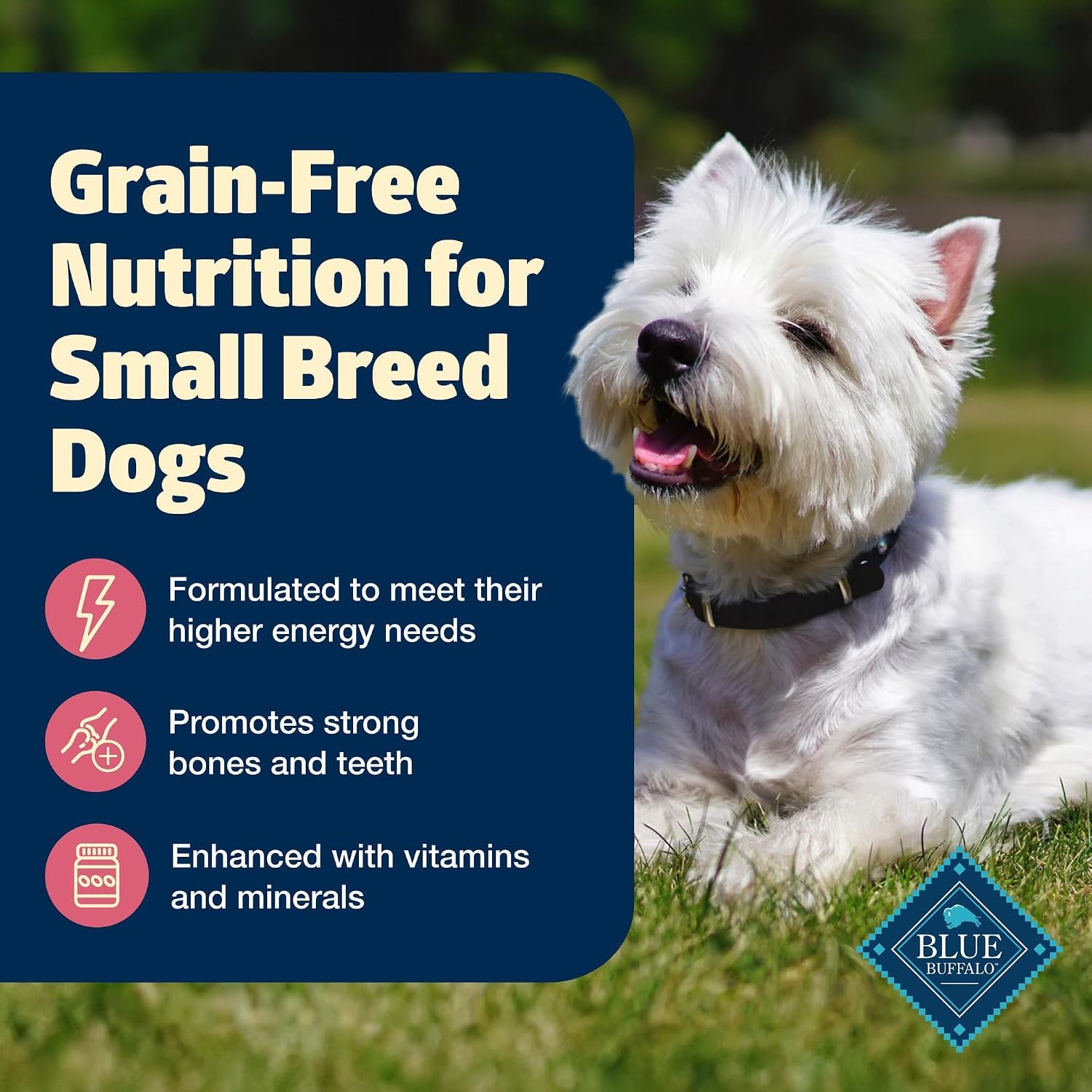 Freedom Grain-Free Small Breed Dry Dog Food, Supports High Energy Needs, Made in the USA with Natural Ingredients, Chicken & Potatoes, 11-Lb Bag